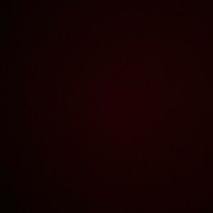 Meet your Posher, Caity